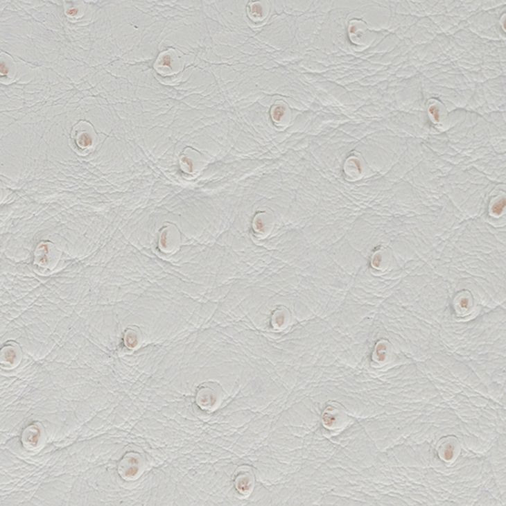 X Side White and Silver Stool