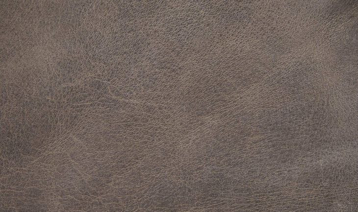Cassidy Beige and Brown Performance Fabric Upholstered Dining Chair