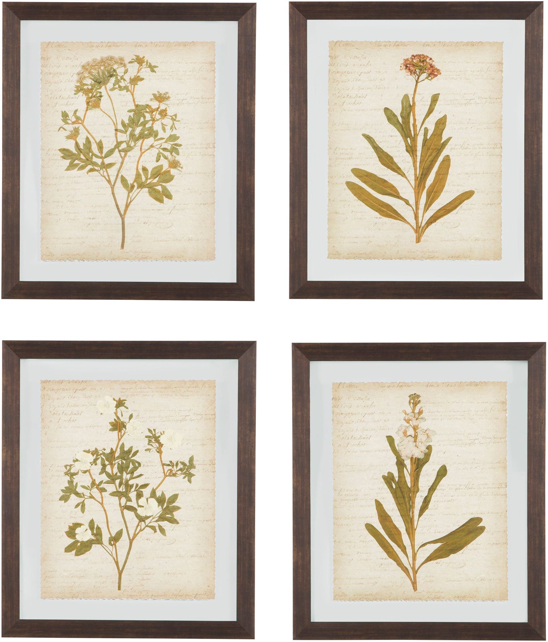 Dyani Multi Wall Art Set of 4 from Ashley Coleman Furniture