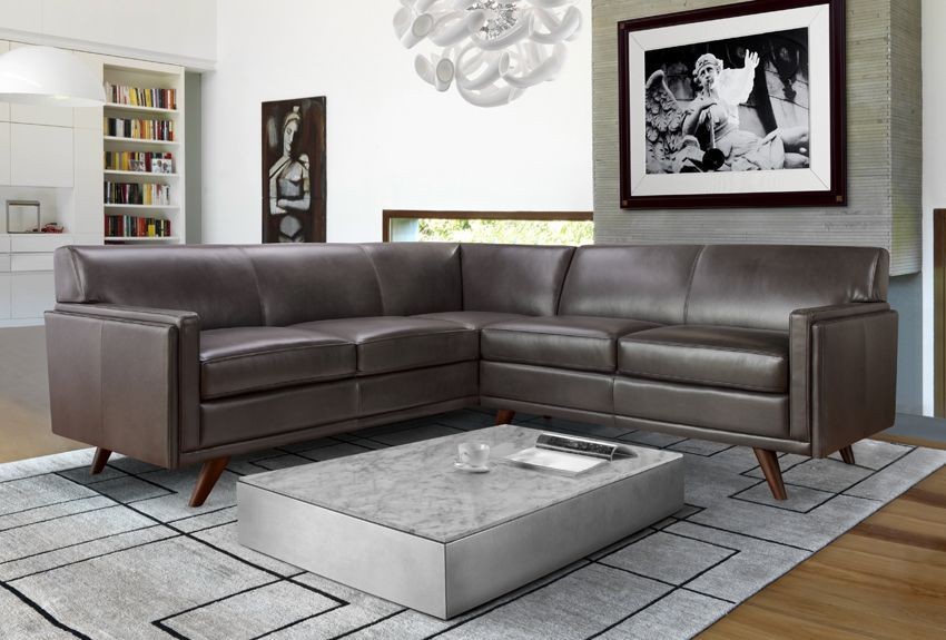 Milo Charcoal Leather Sectional from Moroni Coleman Furniture