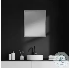 Bristol Gray 22" x 26" Vanity Mirror