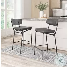Charon Vintage Black Counter Height Stool Set Of 2