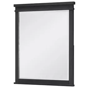 Flatiron Midnight Rectangular Dresser Mirror