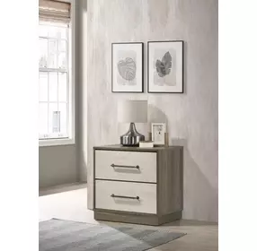 Fenwick Gray Oak And Almond 2 Drawer Nightstand
