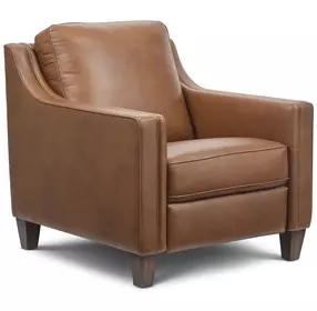 Finley Brown Leather Power Recliner with USB Charging