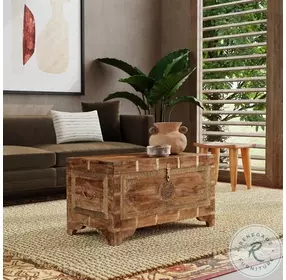 Artifacts Light Brown Storage Trunk Coffee Table
