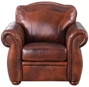 Ardentia Marco Leather Upholstered Accent Chair with Nailhead Trim