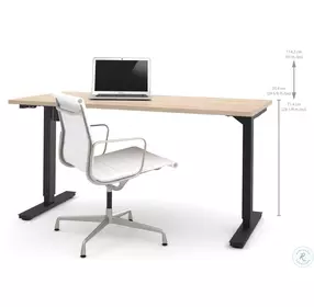 Universel 60" Northern Maple Electric Height Adjustable Table
