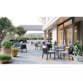 Horizon Gray Performance Fabric Outdoor Dining Chair Set Of 2