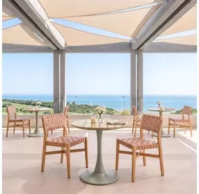 Mizuya Brown Outdoor Dining Chair