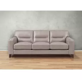 Elwyn Stone Leather 87" Sofa
