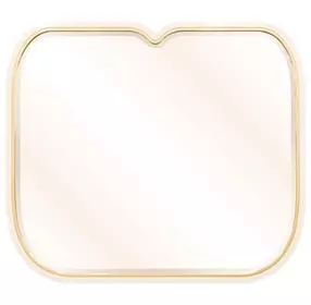 Scotts Square Light Champagne Rectangular Wall Mirror