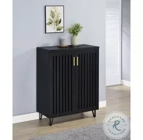 Brixton Black 2 Door Shoe Storage Cabinet