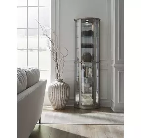 Platinum Glass Door Curio With Adjustable Shelves
