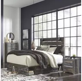 Drystan Queen Panel Bed with Dual Side Storage Drawers