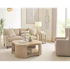 Hidden Treasures Partner Brown Concave Cocktail Table