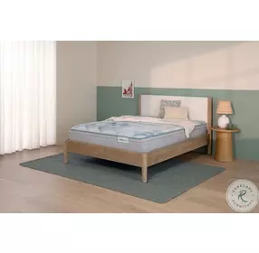 BS 24 DreamWeaver Medium Euro Top Twin XL Size Mattress