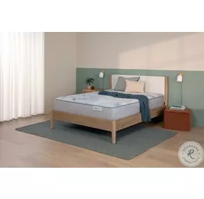 BS 24 DreamWeaver Plush Tight Top King Size Mattress