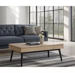 Craftsman Ridge Driftwood and Black Rectangular Lift Top Cocktail Table