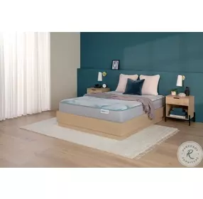 BS 24 DreamWeaver Plush Hybrid Twin Size Mattress