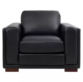 Luca Black Leather Upholstered Accent Chair
