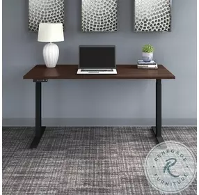 Move 60 Black Walnut 60" Electric Adjustable Height Standing Desk With Black Base