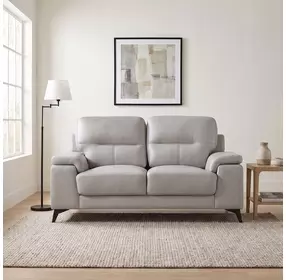 Mischa Silver Gray 67" Loveseat
