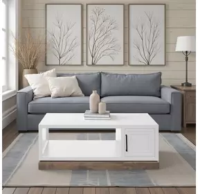 Nora Jasmine White and Barnwood Rectangular Cocktail Table