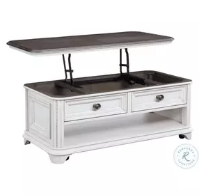 West Chester Light Gray Oak and Distressed White Lift Lid Trunk Occasional Table Set