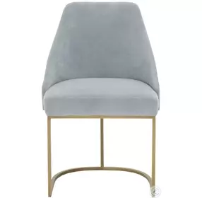 Parissa Coastal Velvet And Brushed Gold Dining Chair Set of 2