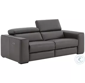 Picasso Dark Gray Leather Motion 82" Loveseat