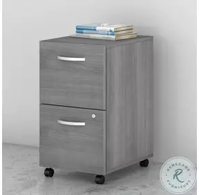 Studio C Platinum Gray 2 Drawer Mobile File Cabinet