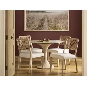 Oasis Dockside and Nomad Snow Performance Fabric Dining Chair Set of 2