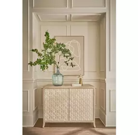 Elegance Brown and Paloma 2 Door Hall Chest