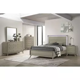 Rainier Gray Panel Bedroom Set with LED