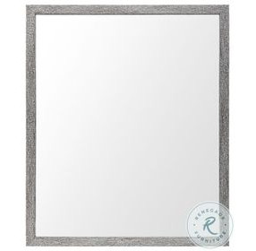 Bristol Gray 22" x 26" Vanity Mirror