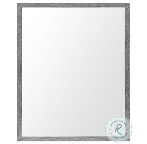 Bristol Gray 26" x 32" Vanity Mirror