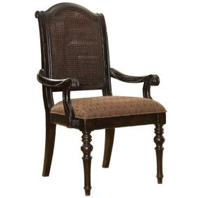 Kingstown Isla Verde Brown Upholstered Arm Chair