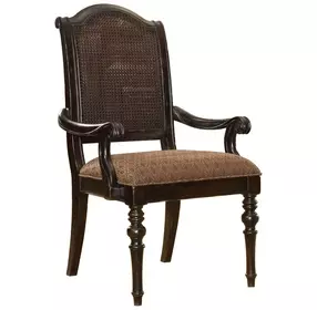 Kingstown Isla Verde Brown Upholstered Arm Chair