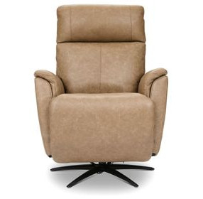 Cove Dune Leather Zero Gravity Swivel Power Recliner with USB Charging and Heat Massage
