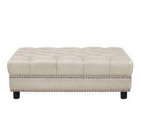 Alwick Vanilla Leather Upholstered Rectangular Ottoman with Nailhead Trim