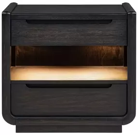 Leandro Burnished Black 2 Drawer Nightstand with LED Light and USB Charging