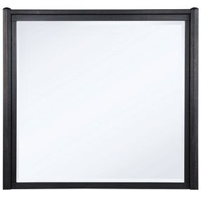 Leandro Burnished Black Rectangular Dresser Mirror