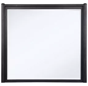Leandro Burnished Black Rectangular Dresser Mirror