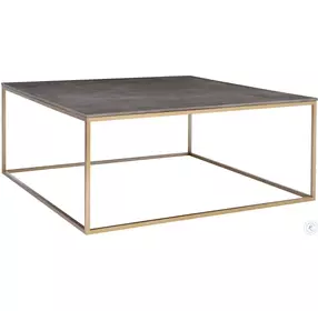 Trebon Charcoal Gray and Brushed Brass Cocktail Table