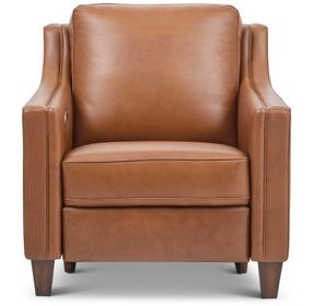 Finley Brown Leather Power Recliner with USB Charging