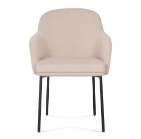 Sydney Taupe Performance Fabric Upholstered Arm Chair Set of 2