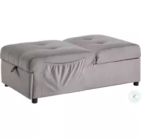 Garrell Brownish Gray Lift Top Storage Bench With Pull Out Bed
