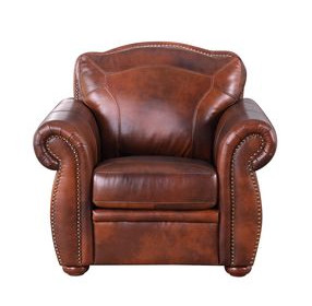 Arizona Marco Leather Upholstered Accent Chair with Nailhead Trim