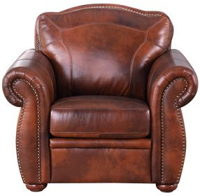 Ardentia Marco Leather Upholstered Accent Chair with Nailhead Trim